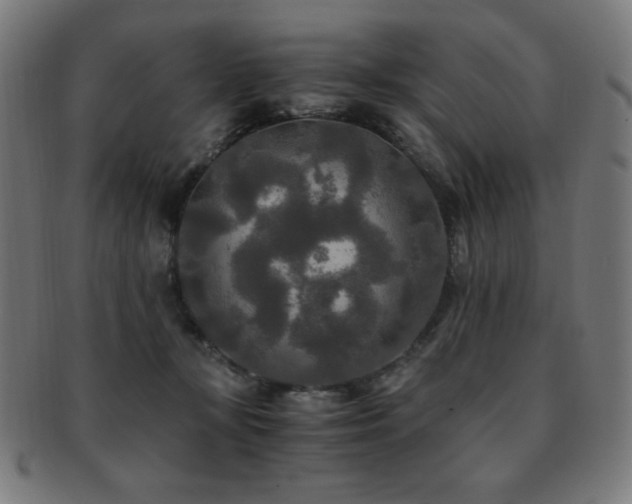 X0000091880367200709051328