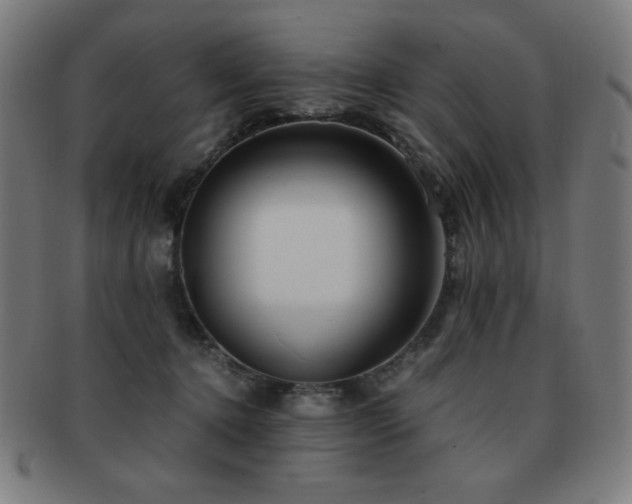 X0000091880368200709051328