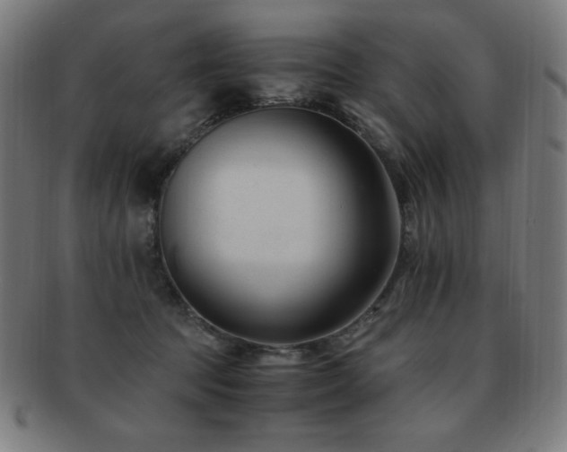 X0000091880369200709051328