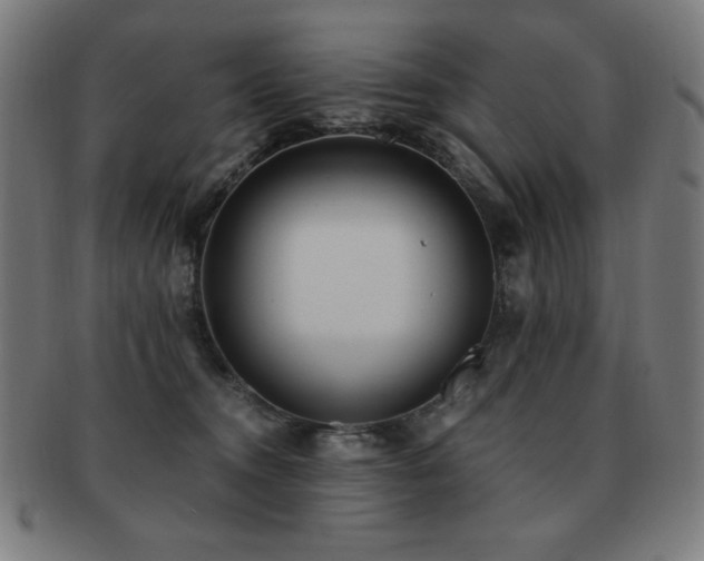 X0000091880372200709051328