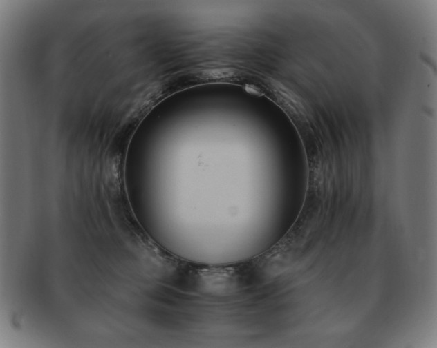 X0000091880373200709051329
