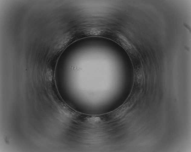 X0000091880374200709051329