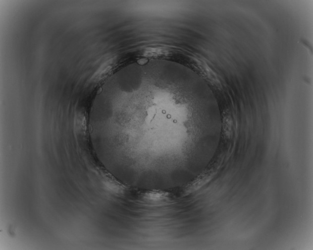 X0000091880375200709051329