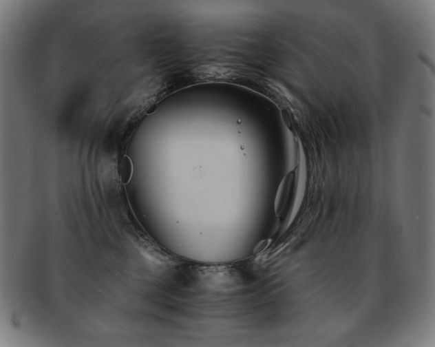 X0000091880377200709051329