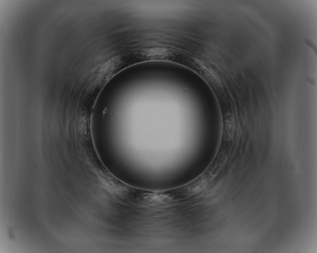 X0000091880379200709051329