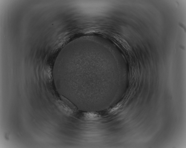 X0000091880380200709051329