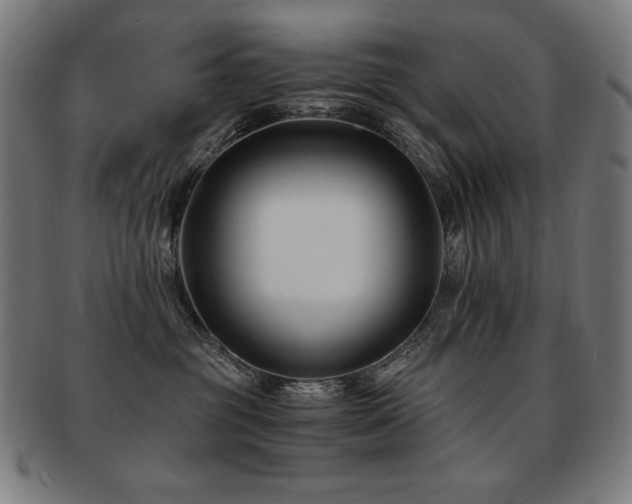 X0000091880381200709051329