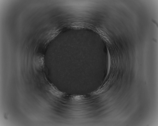 X0000091880382200709051329