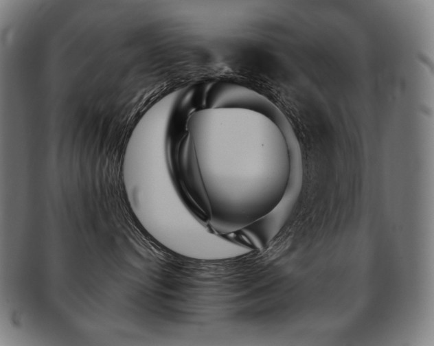 X0000091880384200709051329