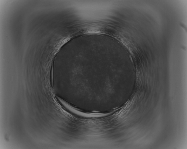 X0000091880385200709051328