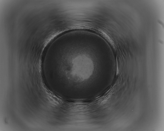 X0000091880387200709051328