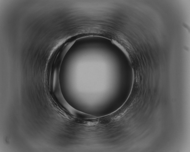 X0000091880388200709051328