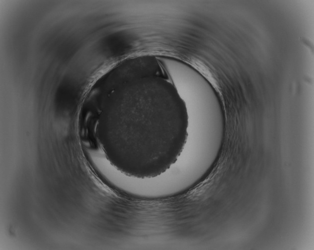 X0000091880389200709051328