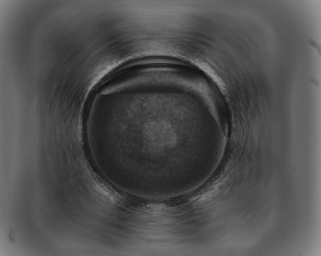 X0000091880391200709051328