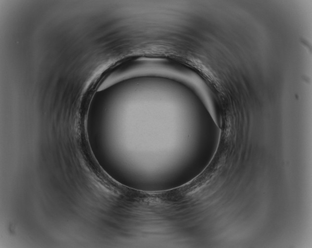 X0000091880392200709051328