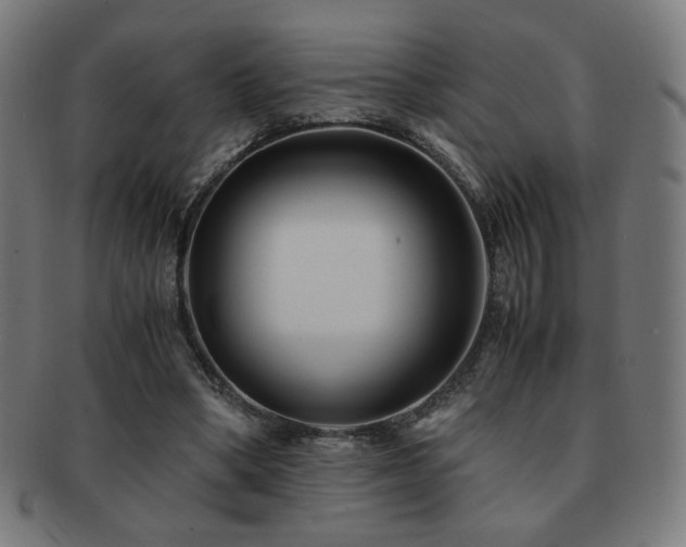 X0000091880394200709051328