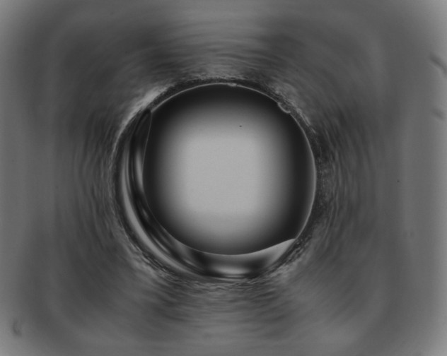 X0000091880395200709051328