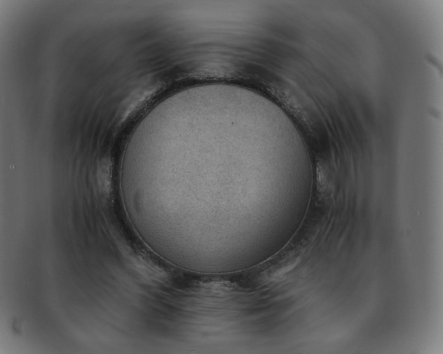X0000091880396200709051328