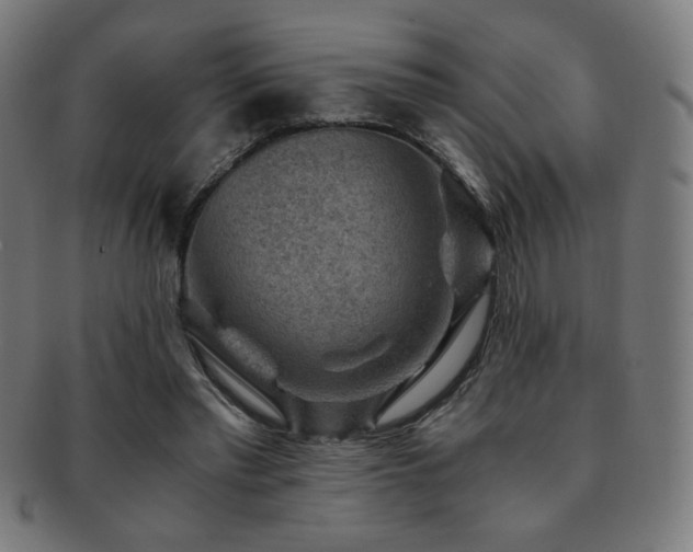X0000091880397200709051328