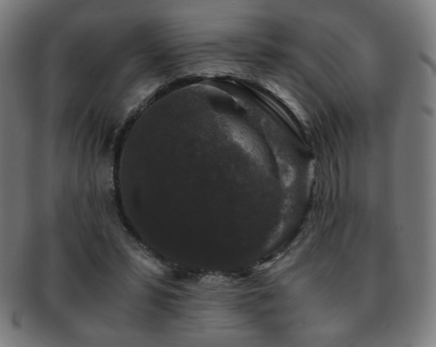 X0000091880399200709051328