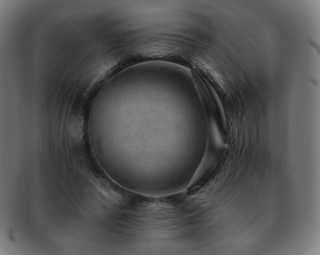 X0000091880400200709051328