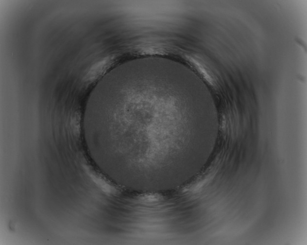 X0000091880402200709051328