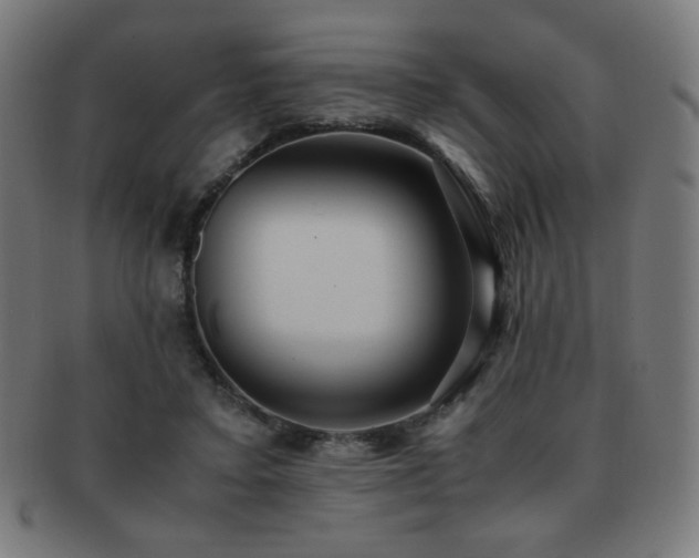 X0000091880403200709051328