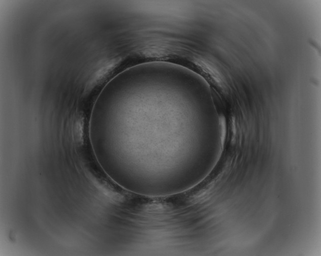 X0000091880404200709051328