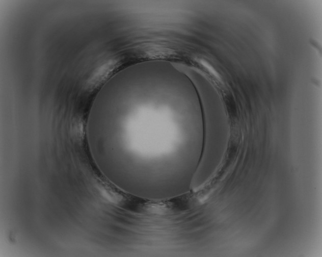 X0000091880405200709051328