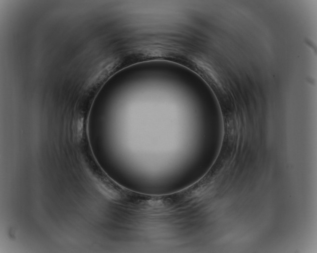 X0000091880406200709051328
