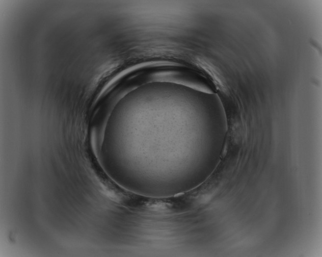 X0000091880407200709051328