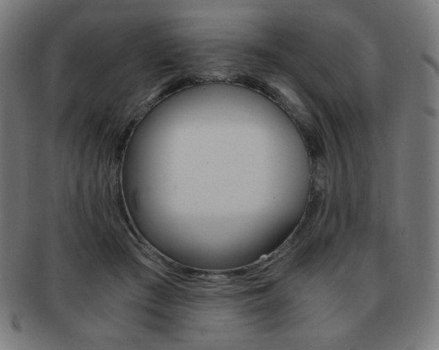 X0000091880409200709051328
