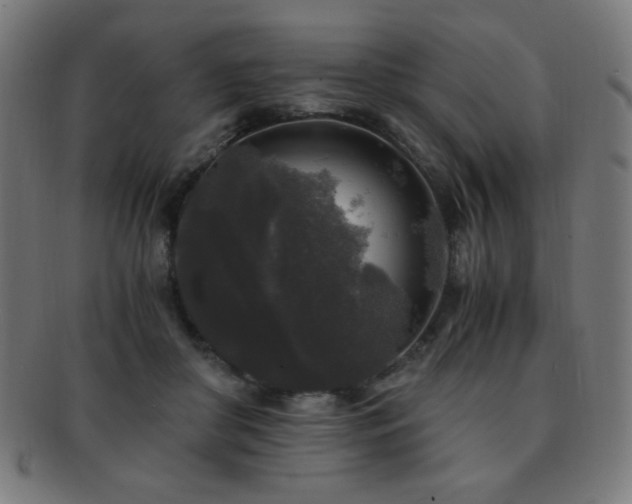 X0000091880410200709051328
