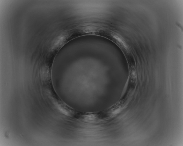 X0000091880411200709051328