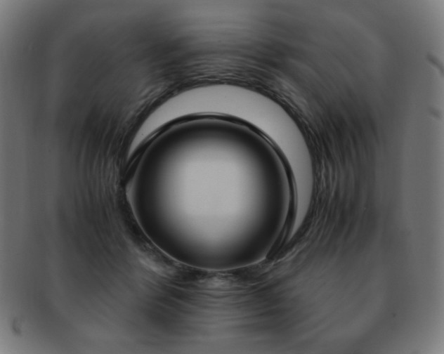 X0000091880412200709051328