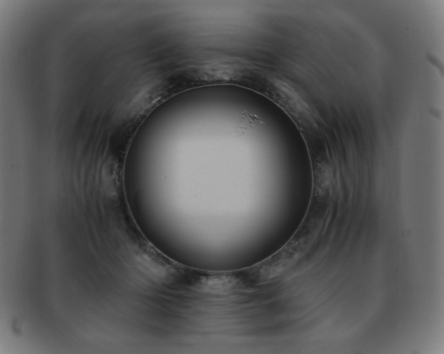 X0000091880414200709051328