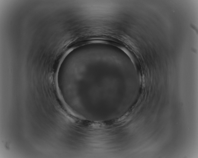 X0000091880415200709051328