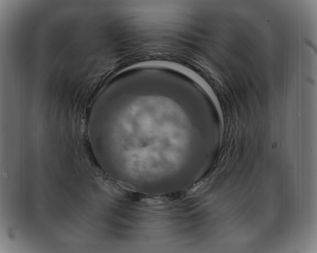 X0000091880417200709051327