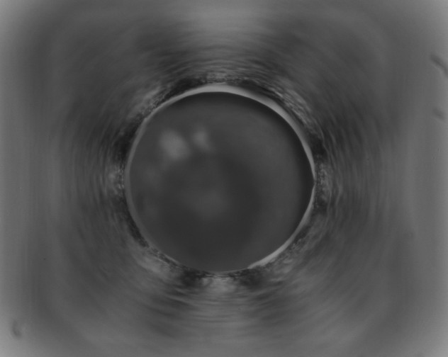X0000091880419200709051327