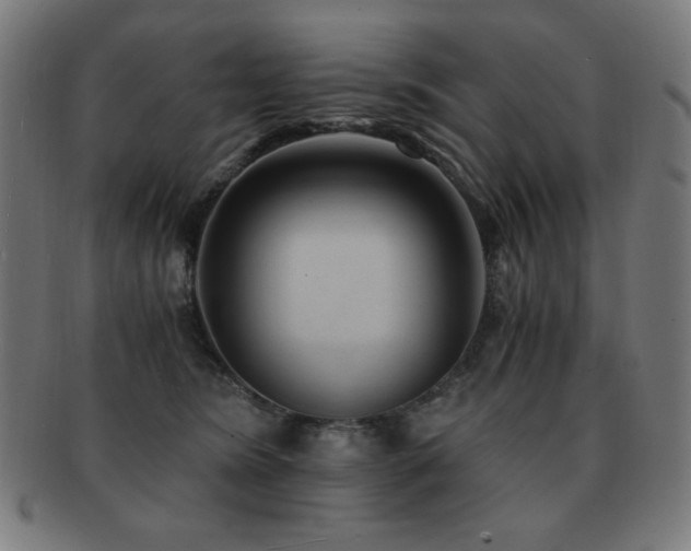 X0000091880420200709051327