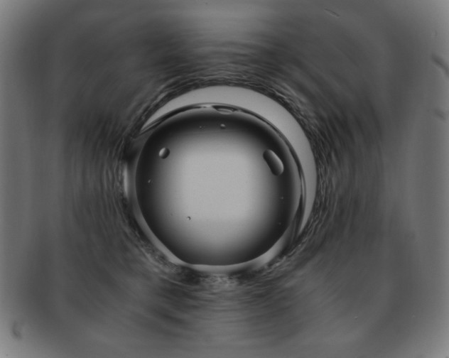 X0000091880421200709051327
