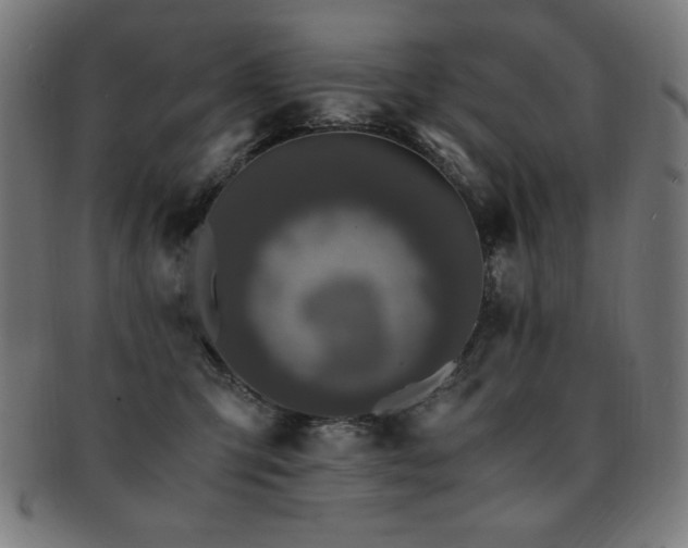 X0000091880423200709051327