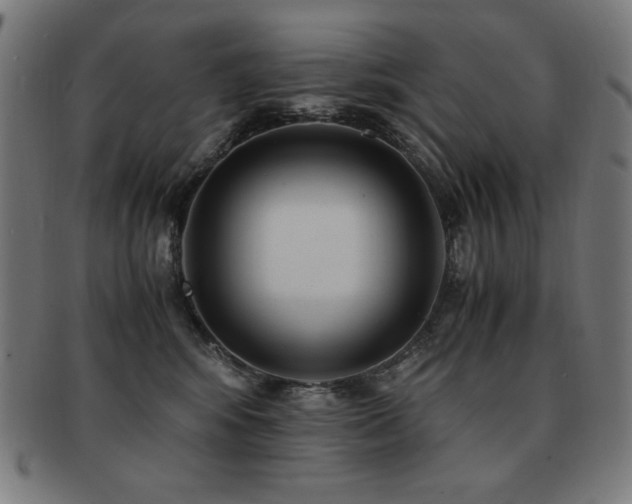X0000091880424200709051327
