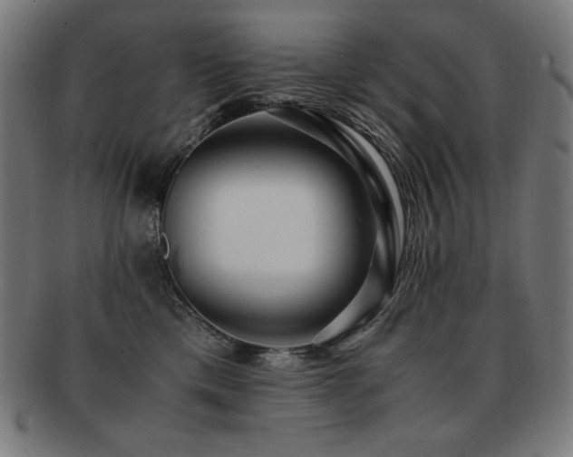 X0000091880425200709051327