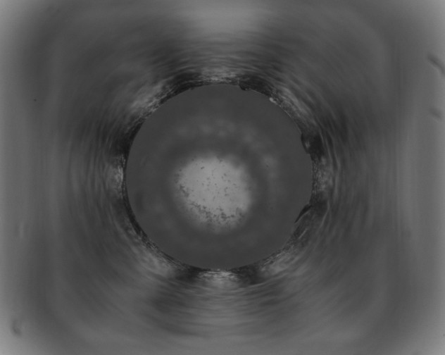 X0000091880427200709051327