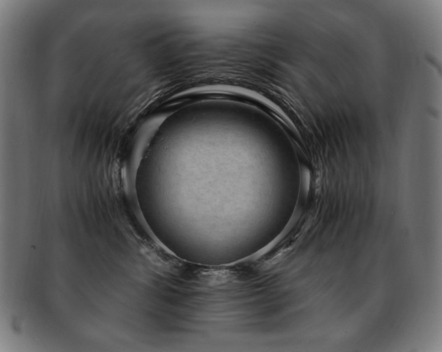 X0000091880428200709051327