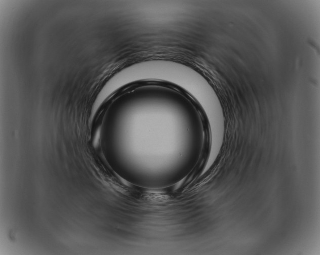 X0000091880429200709051327