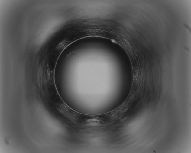 X0000091880430200709051327
