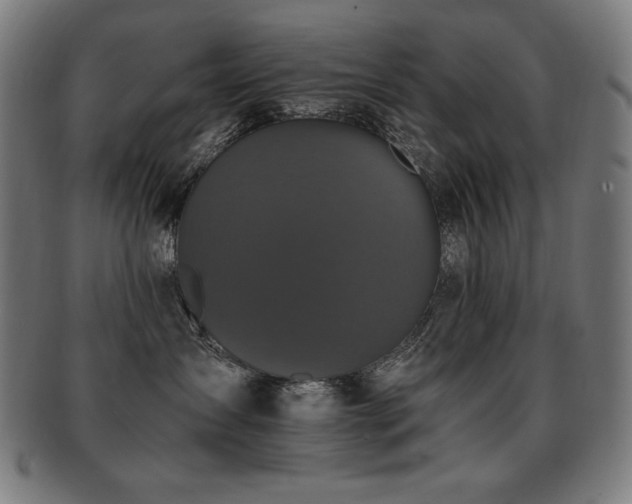 X0000091880431200709051327