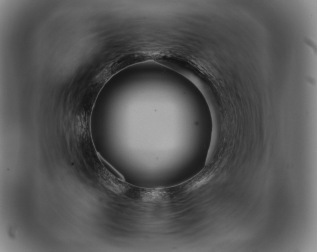 X0000091880432200709051327